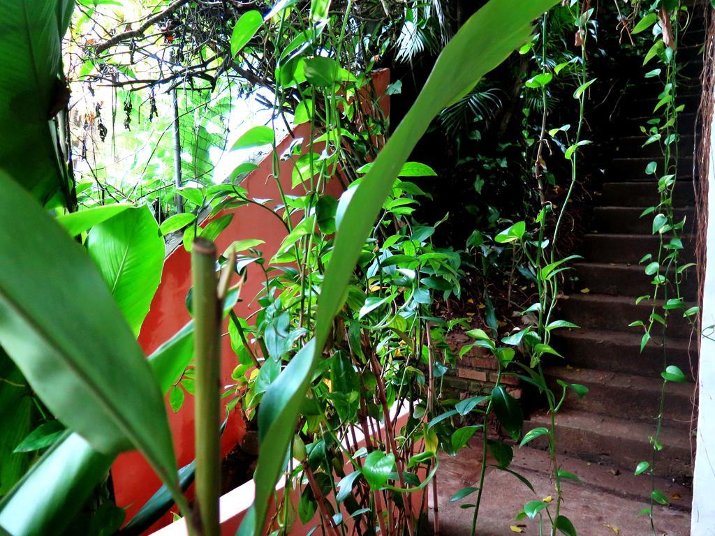 Para Ti Guesthouse Rio de Janeiro Luaran gambar